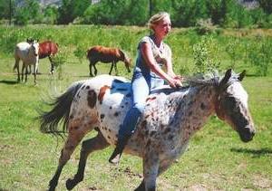 14岁的克里斯蒂安·霍普·斯特劳骑着她的马Crystal